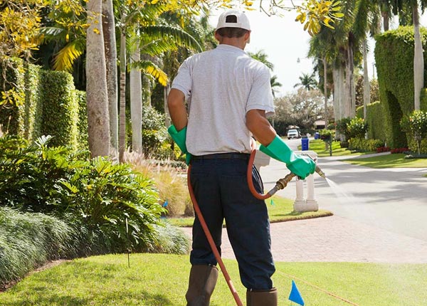 About Wolfe City TX Pest Control Pros